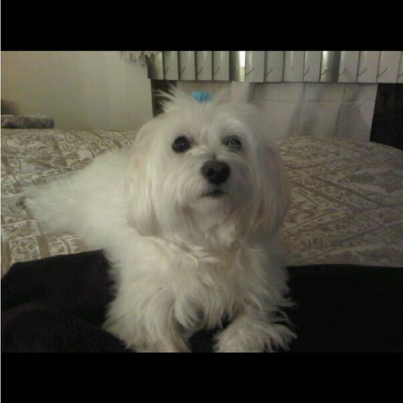 Meet your Posher, Doreen - Picture 4 of 11